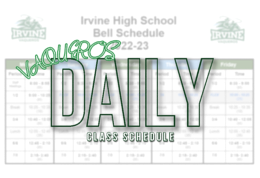 Daily Schedule