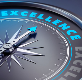 Excellence compass