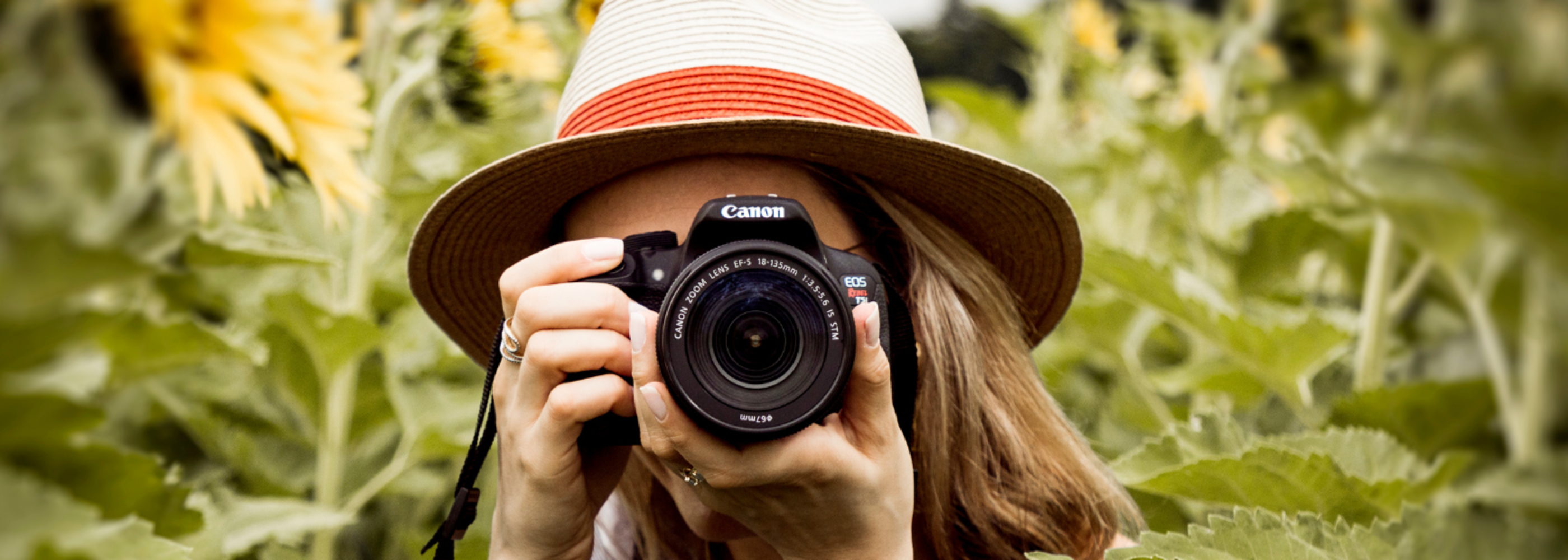 Visual Imagery (Photography)